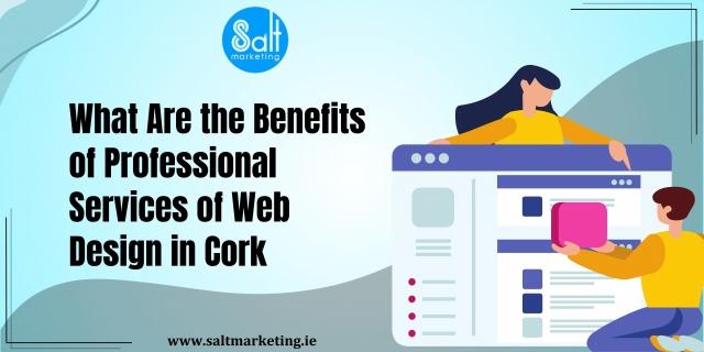 What Are the Benefits of Professional Services of Web Design in Cork 